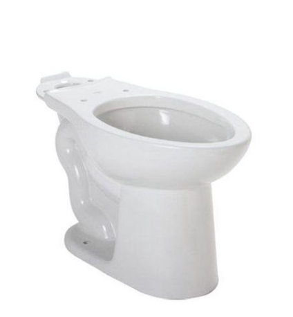 Elongated toilet  Bowl