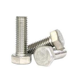 M12x75 mm  Stainless Stainless Steel Hex Bolt