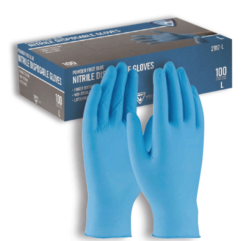 Nitrile Disposable Gloves XL (100 units)